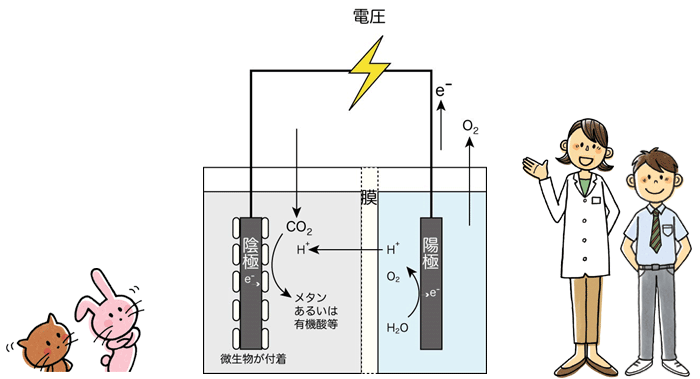 從CO 2產(chǎn)生物質(zhì)的微生物電解 從CO 2產(chǎn)生物質(zhì)的微生物電解