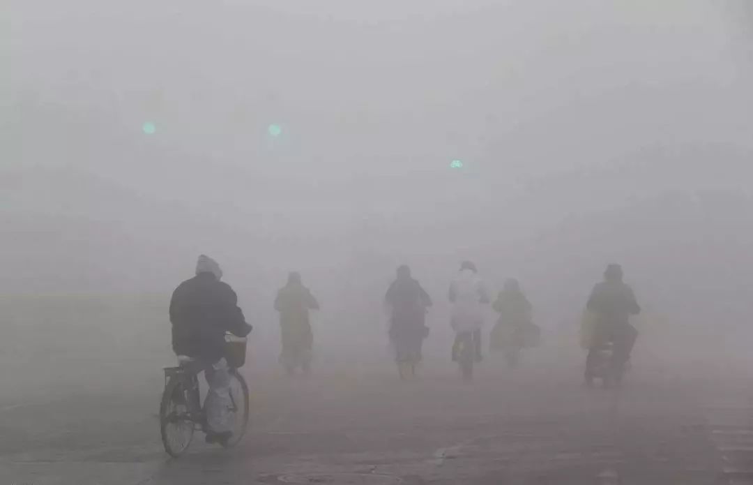 空氣污染如何殺死植物和動物? 空氣污染如何殺死植物和動物?