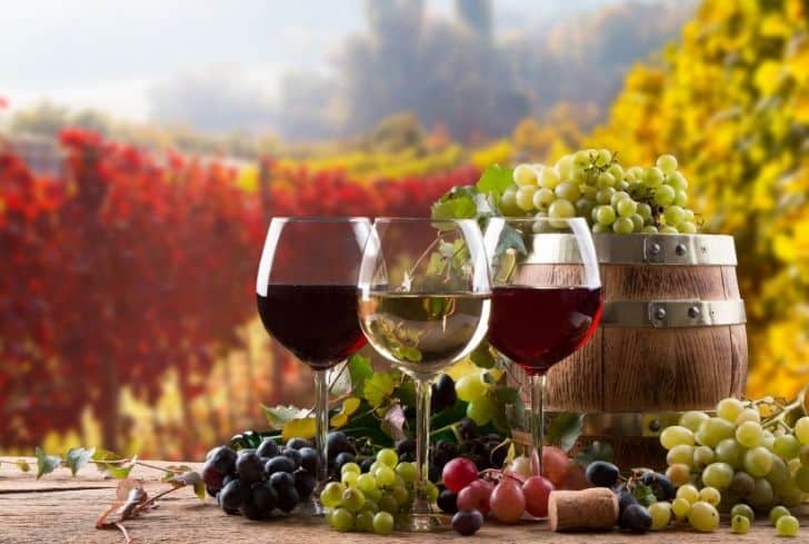 酒杯是怎么回收的? 酒杯是怎么回收的?